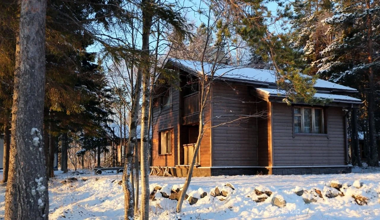 Cedar Grass "Белое Море"