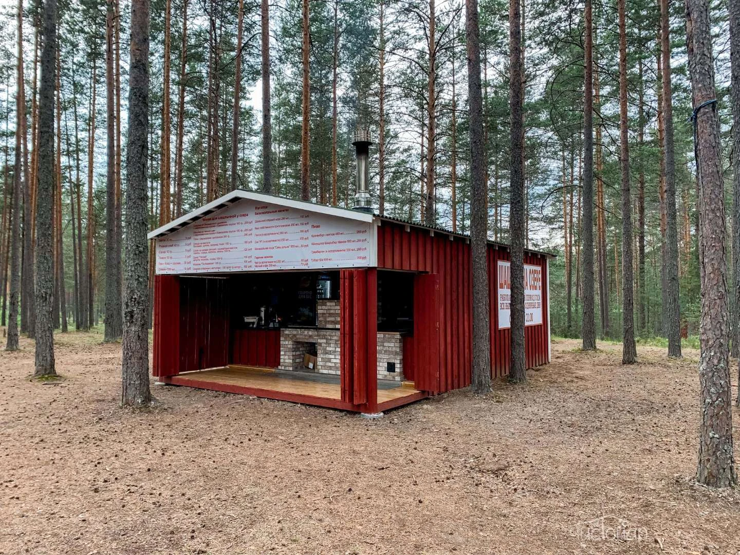 Шишки на Лампушке