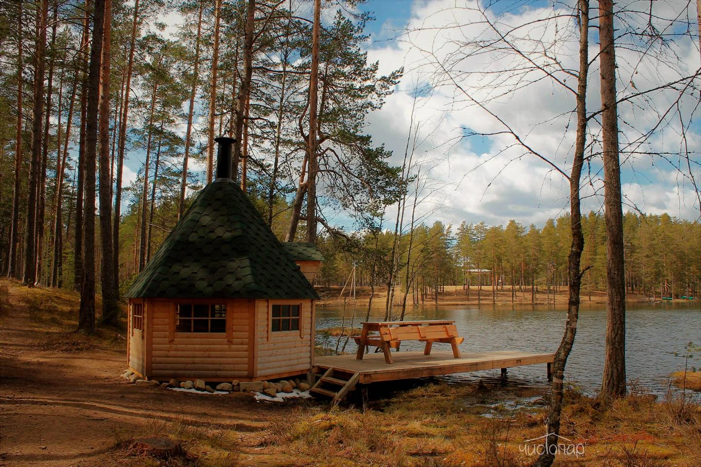 Шишки на Лампушке