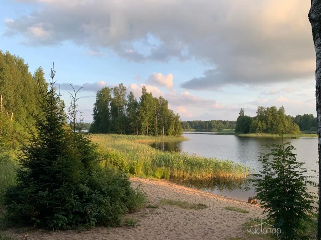 Загородный клуб «Ромашка»