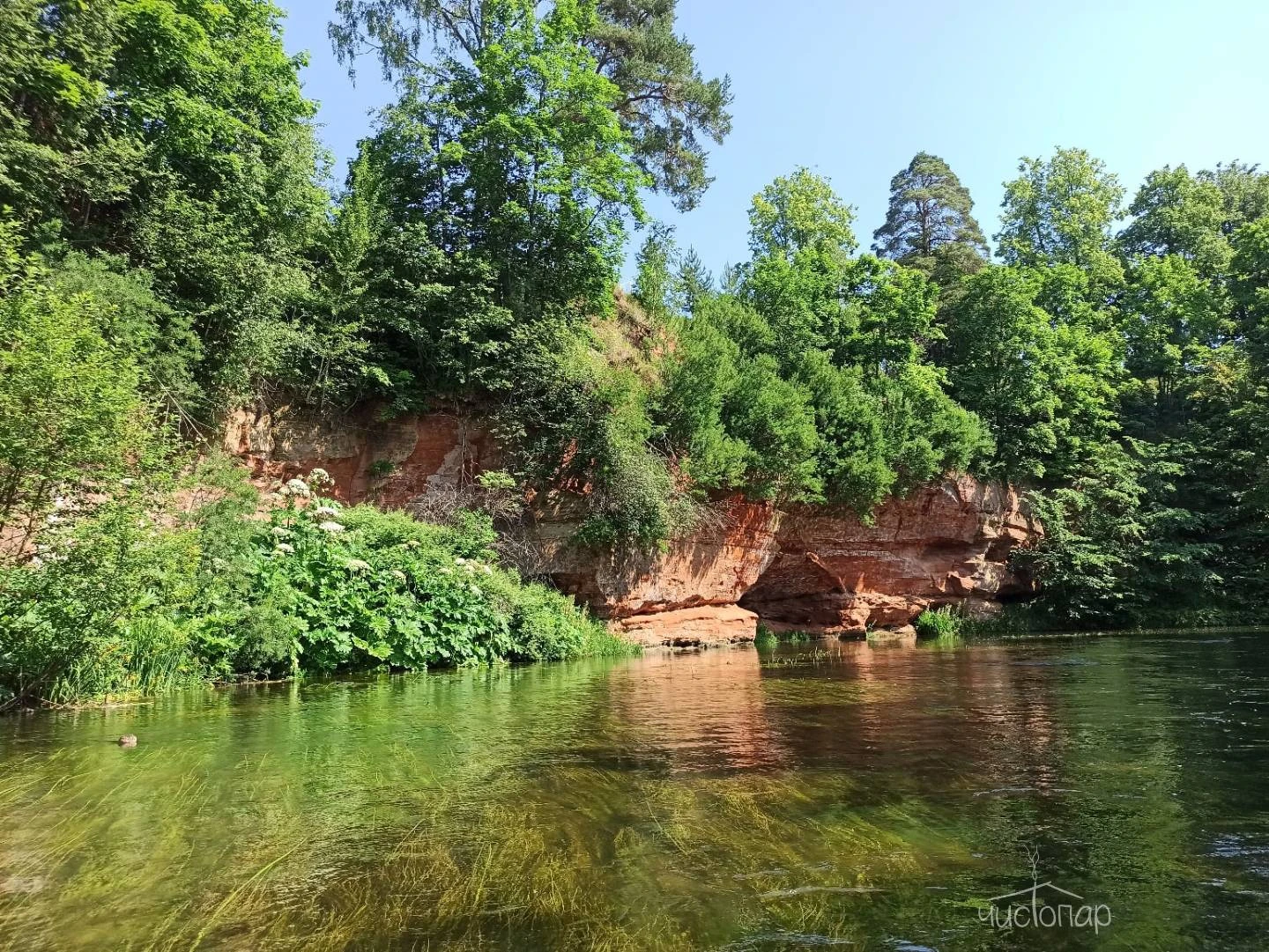 Вырицкие Тарханы