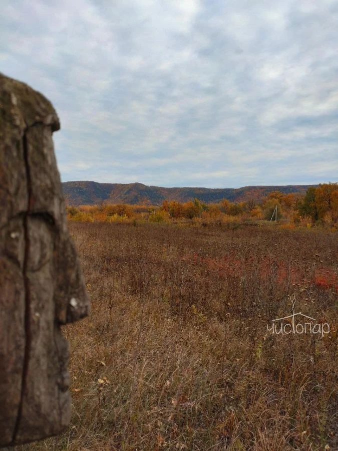 Побеги