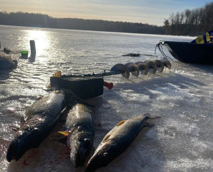 Туркомплекс «Снегурия»