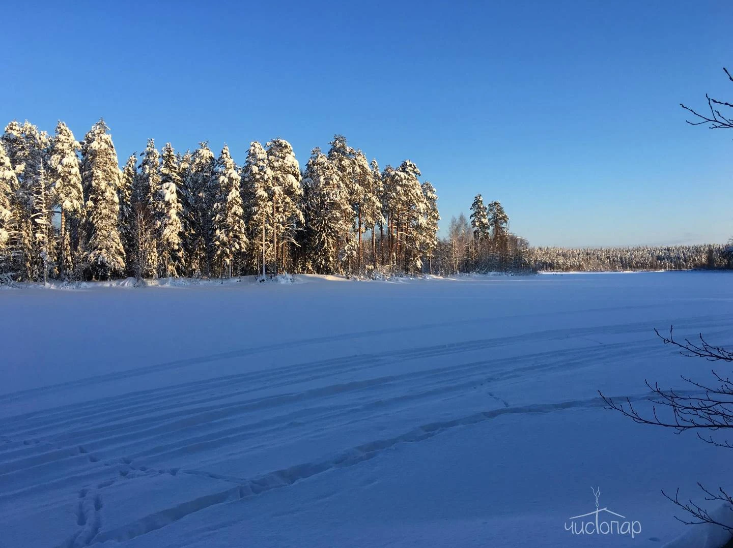 База отдыха "Лесная Обитель"