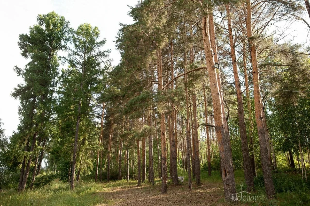 Банный комплекс "SOKOLKI"