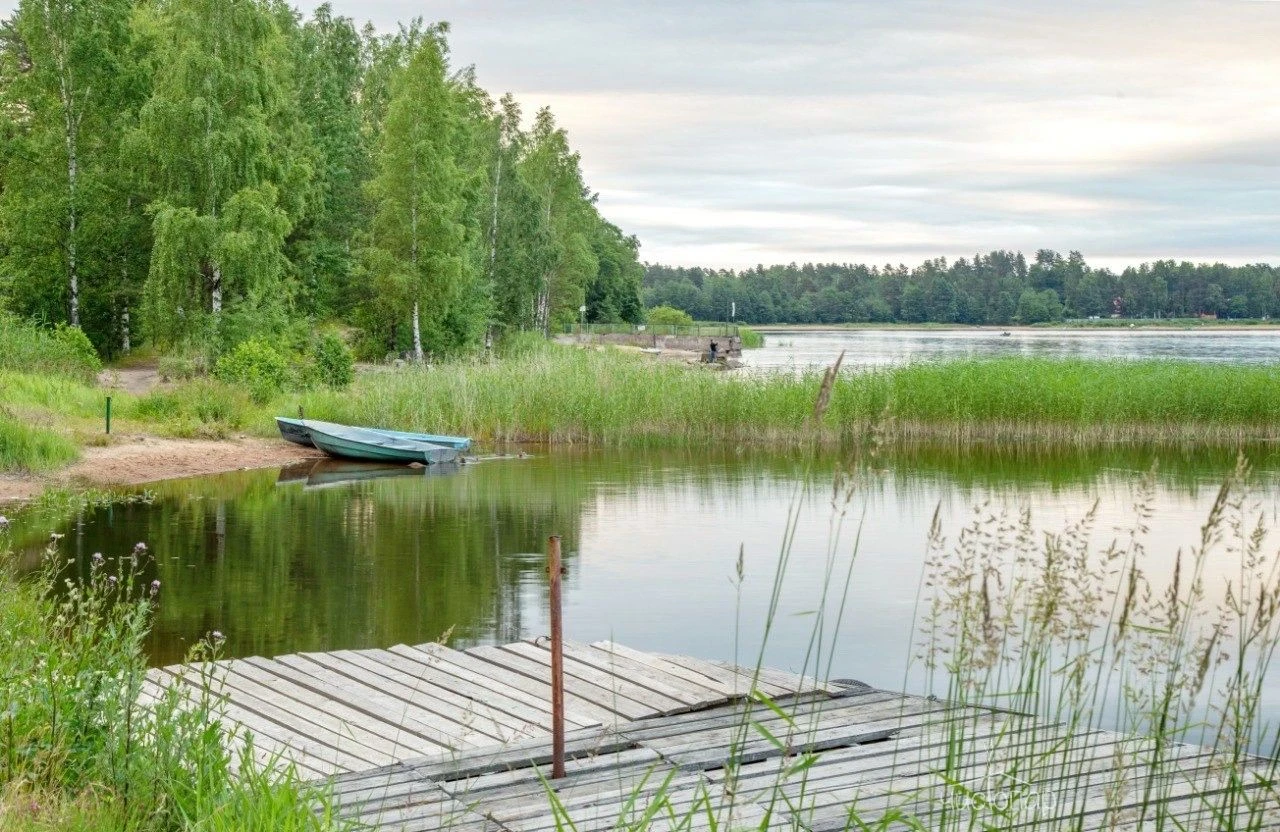 Лосево Парк