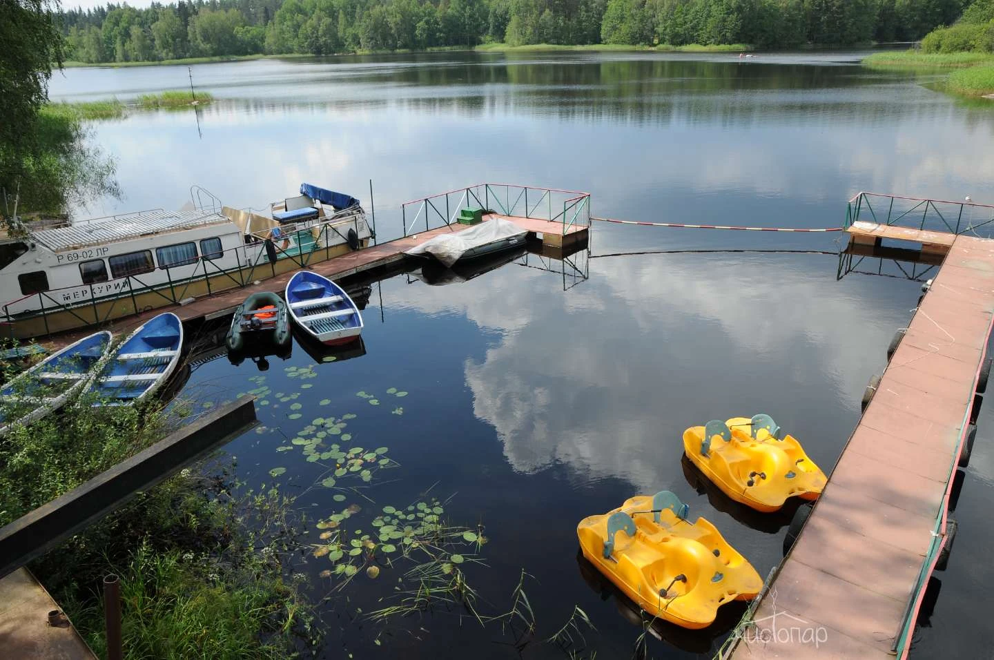 Загородный клуб «Ромашка»