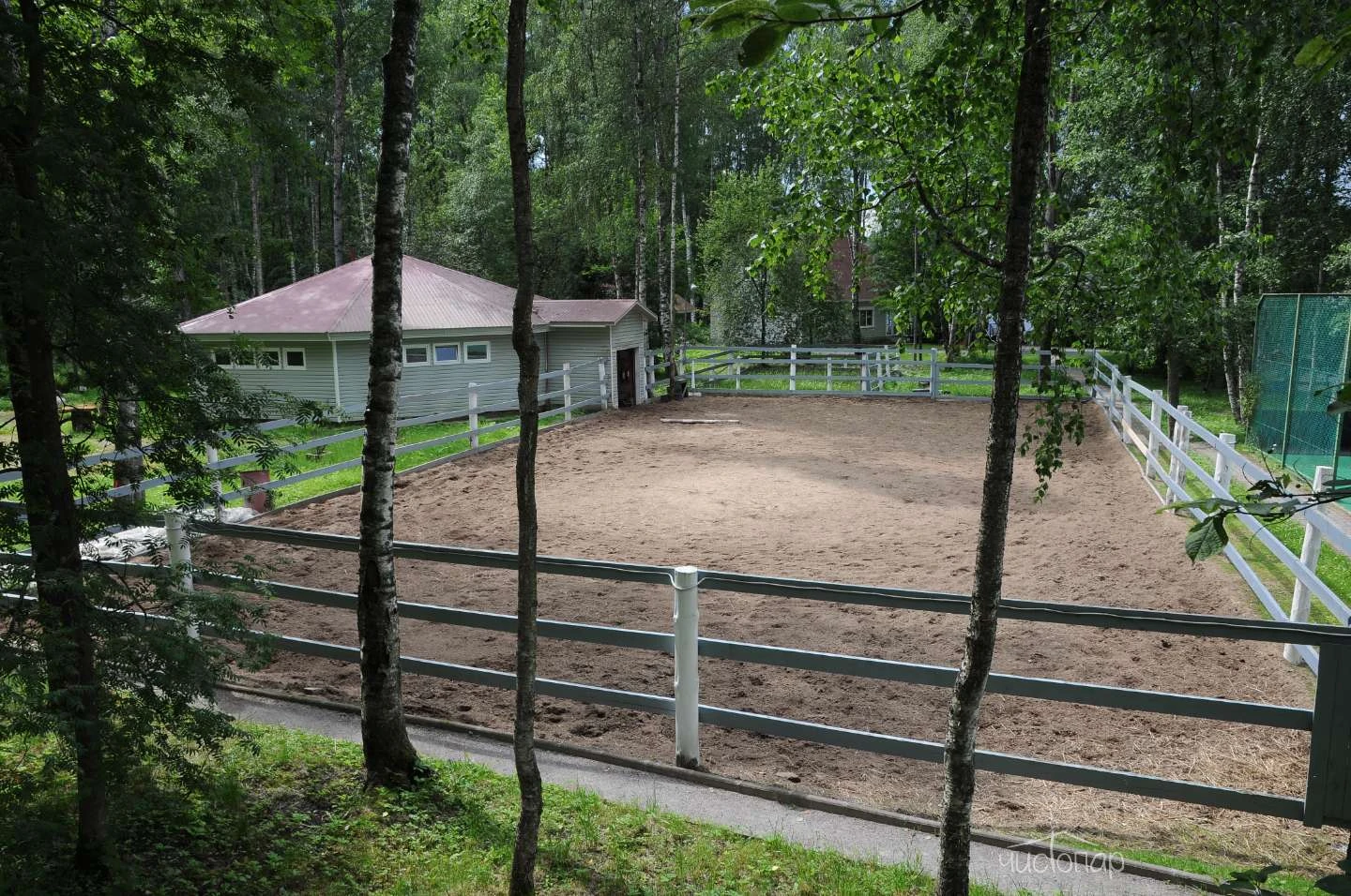 Загородный клуб «Ромашка»