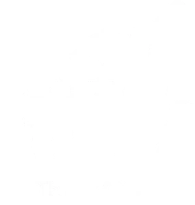 THE BANYA