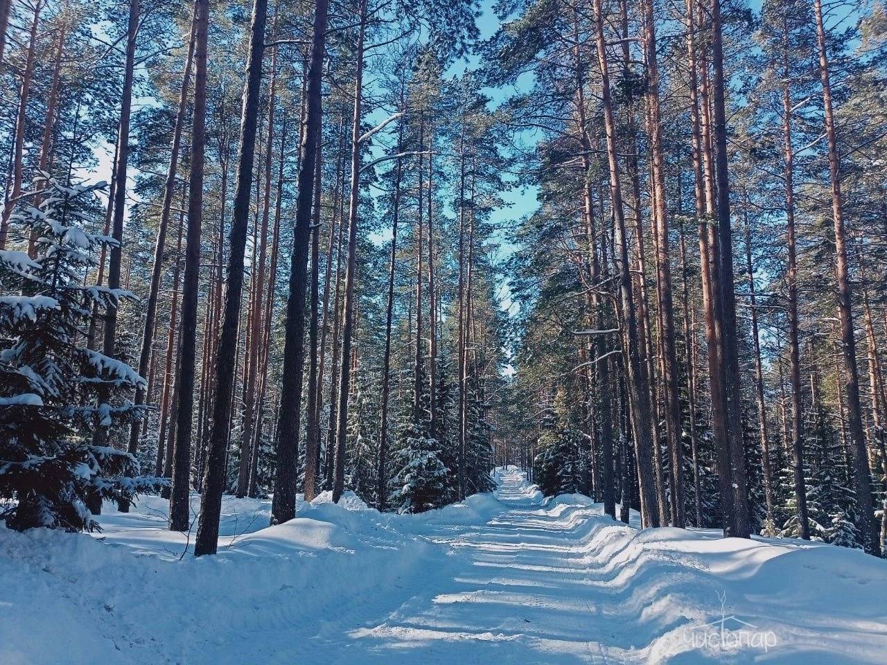 Эко-отель "ЛЕС"